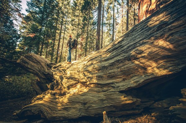 Comment organiser une visite des temples anciens au Cambodge?